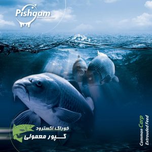 خوراک اکسترود ماهی کپور معمولی