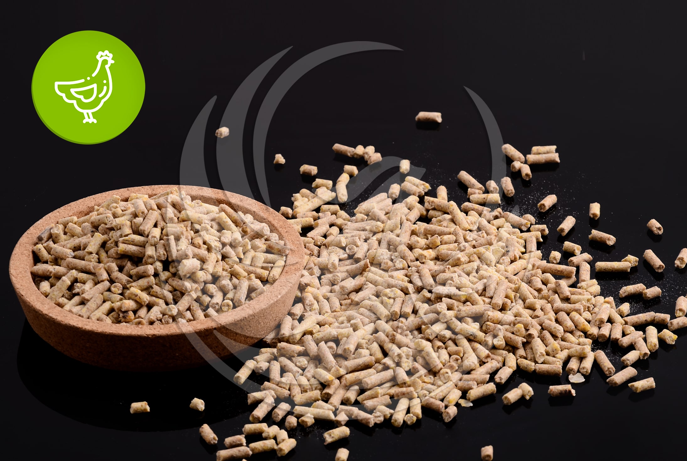 پیشدان مرغ گوشتی