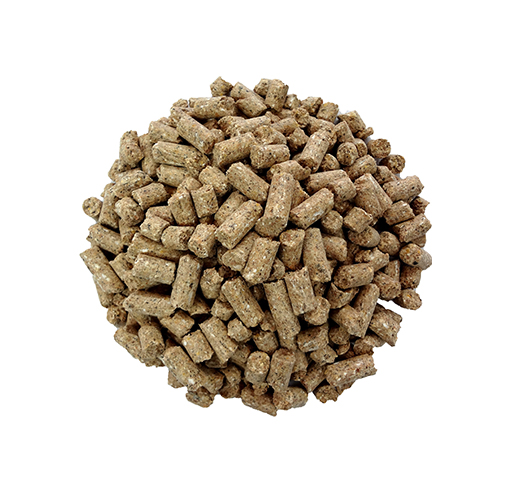 کنسانتره دامی