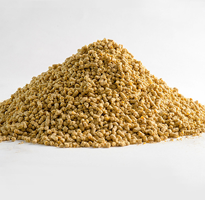 سوپر استارتر