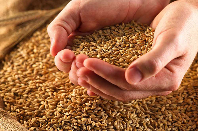 افزودنی های خوراک و چگونگی استفاده از آنها در جیره جهت تأمین احتیاجات دام