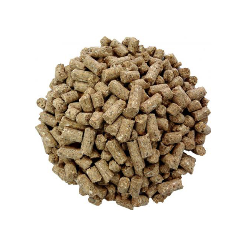 کنسانتره تلیسه و گاو خشک