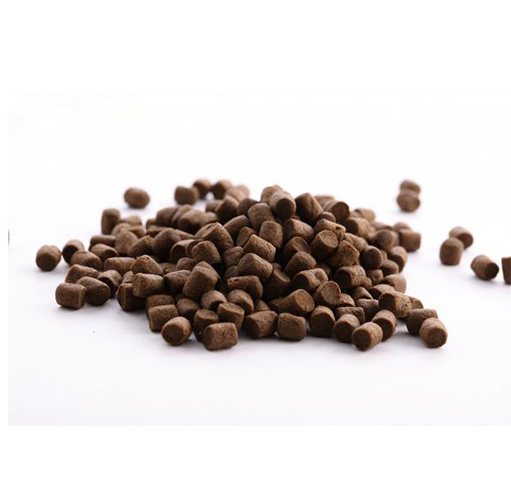 خوراک ماهی سی باس