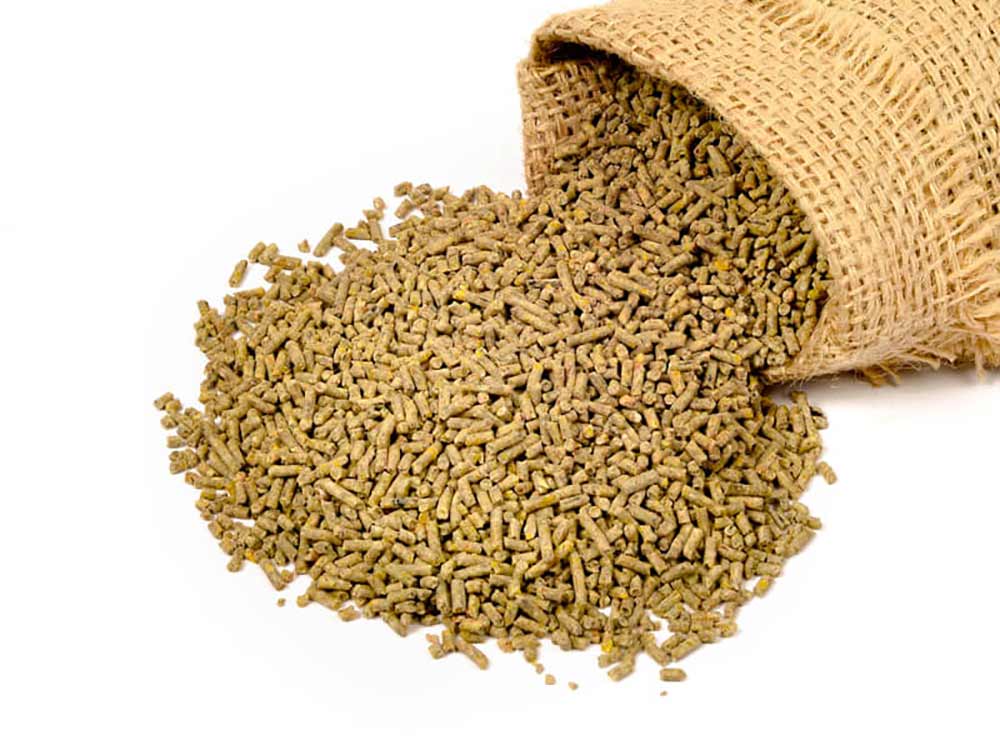 فينيشر يا پايان دان