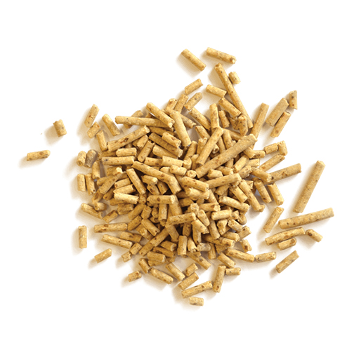 خوراک پولت تخم گذار