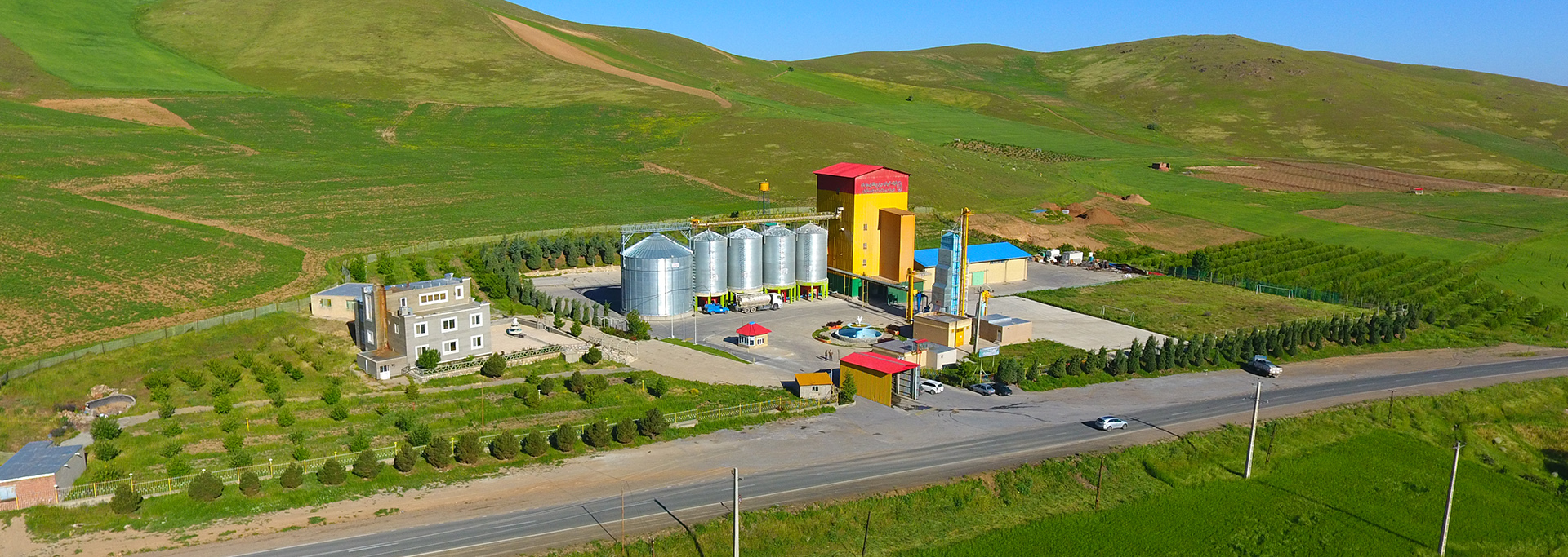 کیوان مرغ پرطلای مهاباد